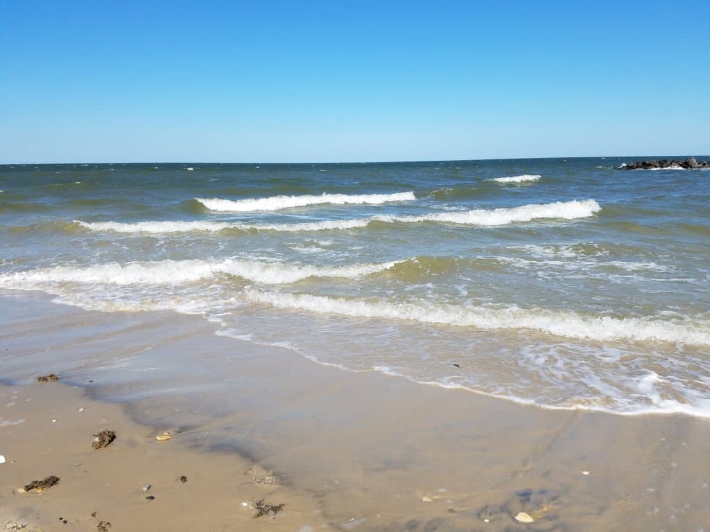 The water is only waste deep out to those rocks