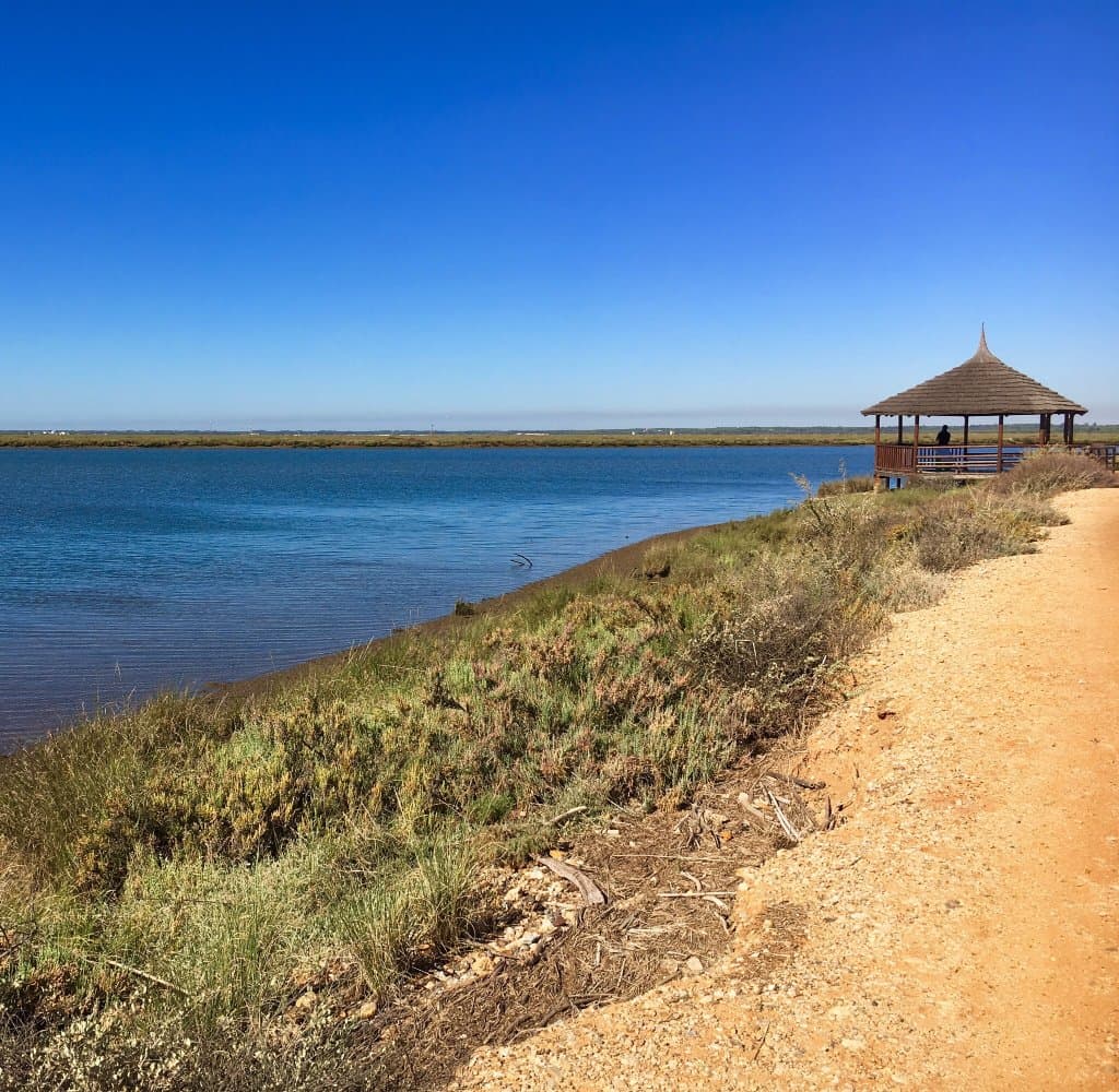 Odiel Marshes