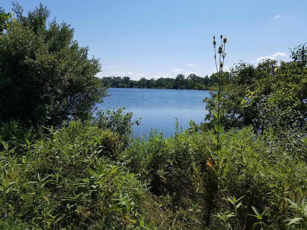 Lake Carina