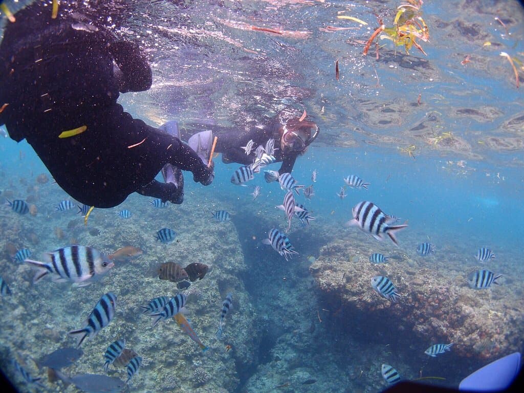 Blue Cave Okinawa