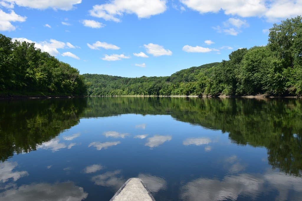 Ludington School Forest Trails