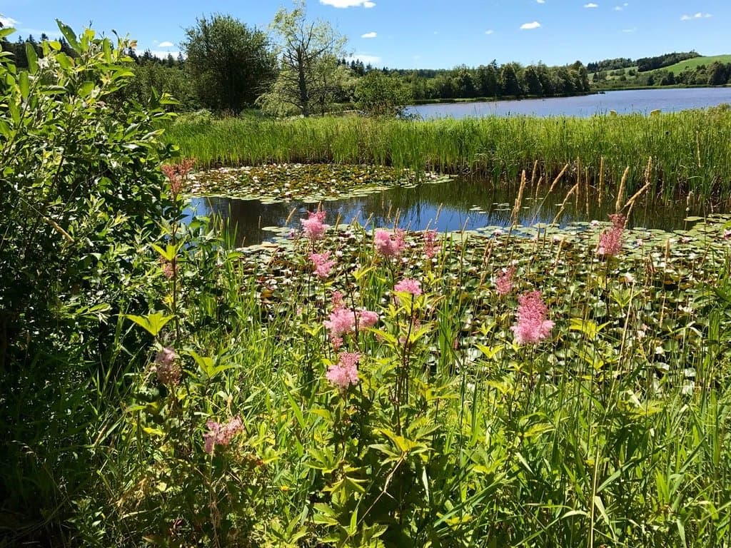 Gardens of Hope