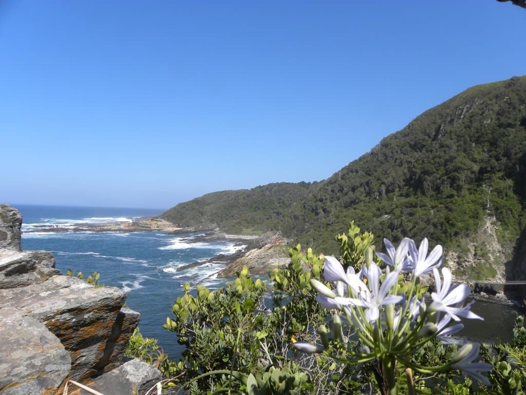 Flora... in abundance.