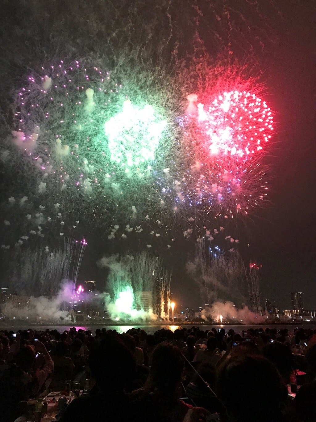 Visit the Naniwa Yodogawa Park