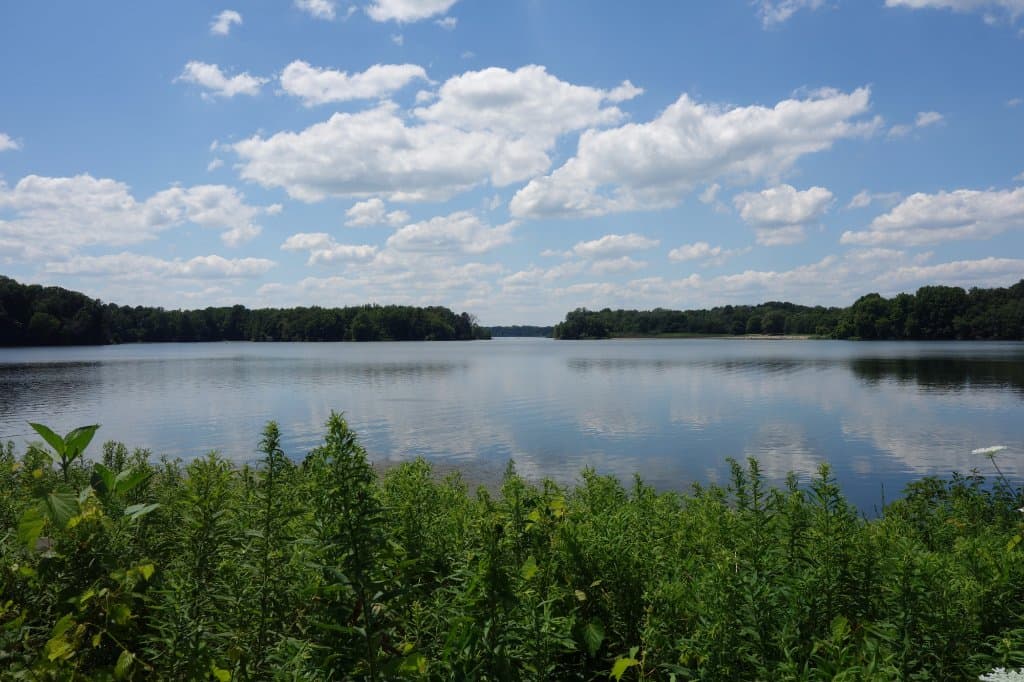 Lake from Trail 4