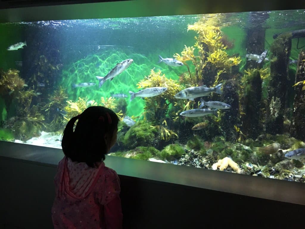 Øresund Coast Helsingør