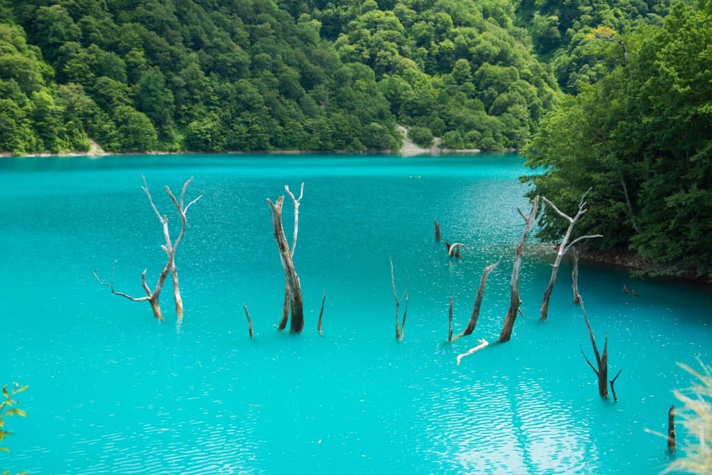 八月　白水湖