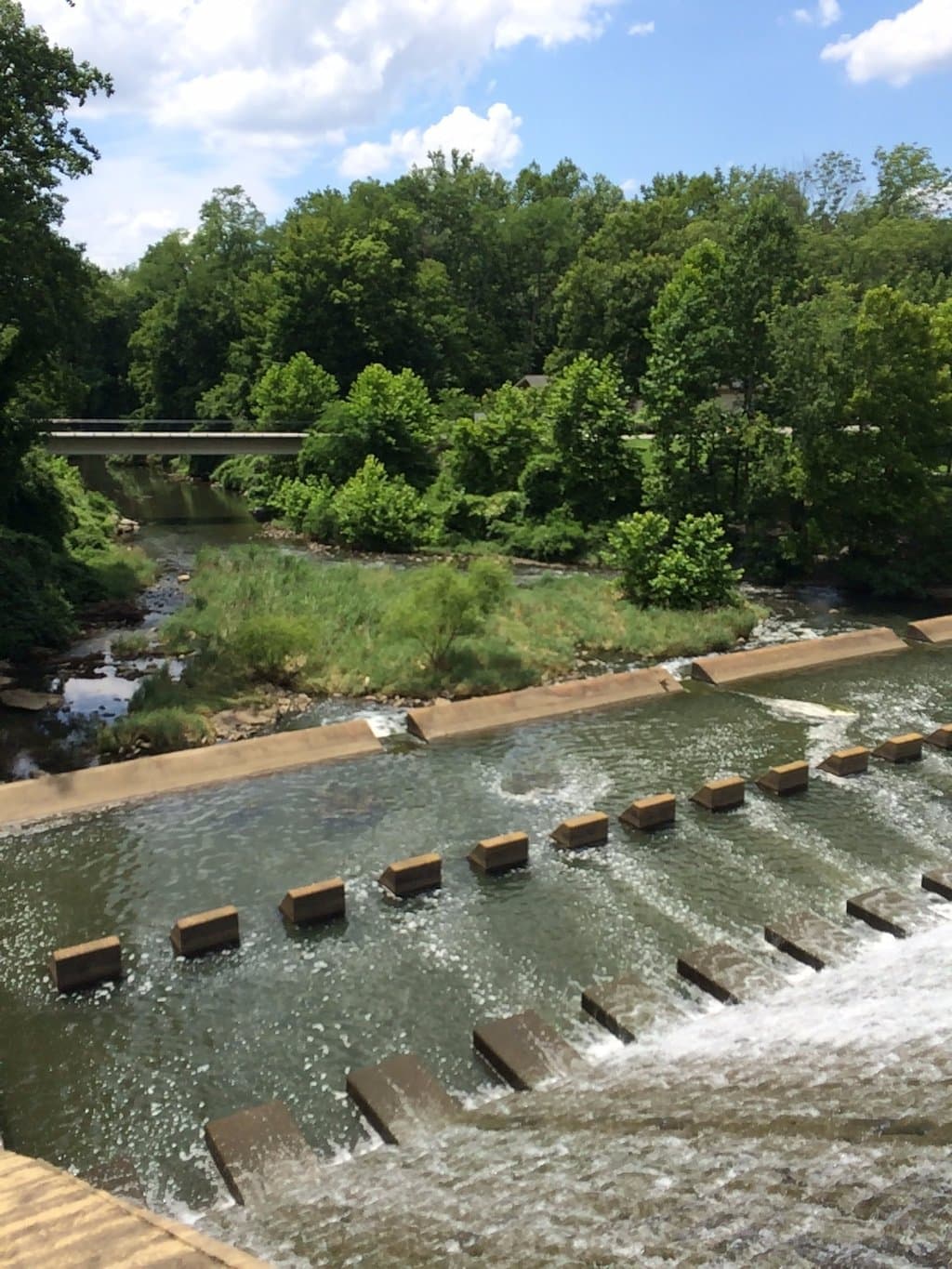 The dam