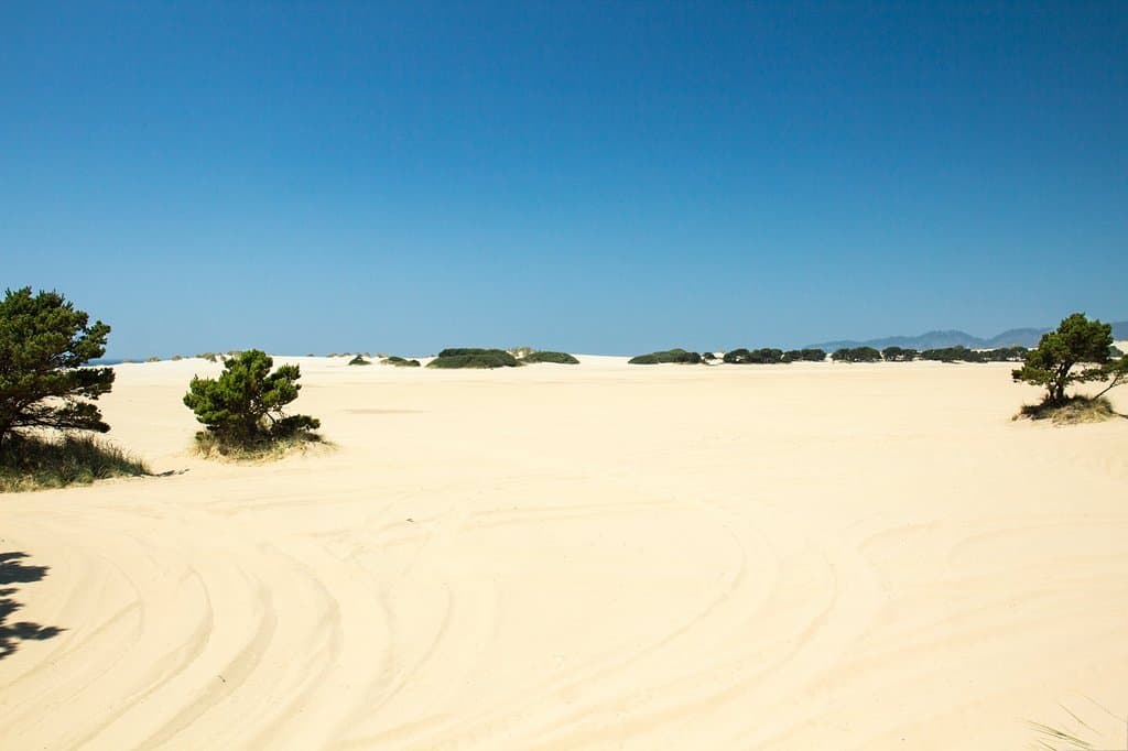 Sand Lake Recreation Area