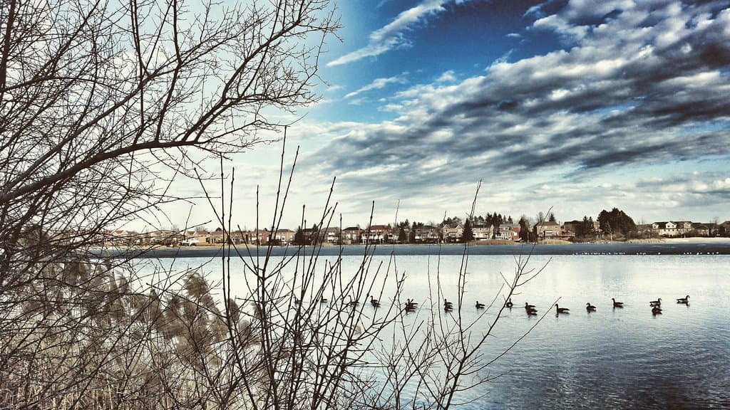 Professor's Lake Recreation Centre