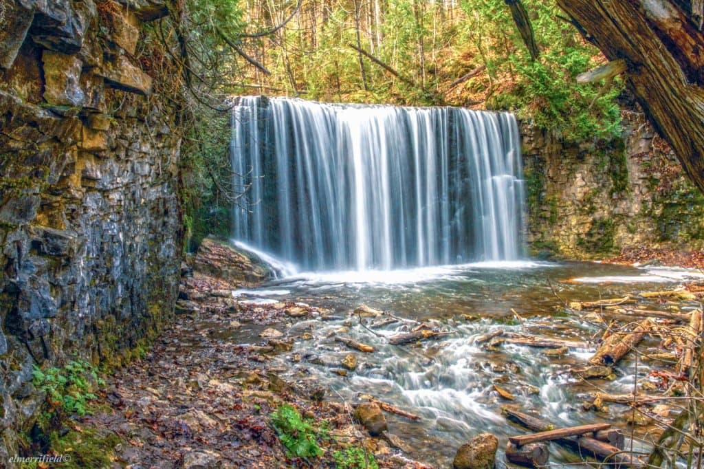 Hogg's Falls