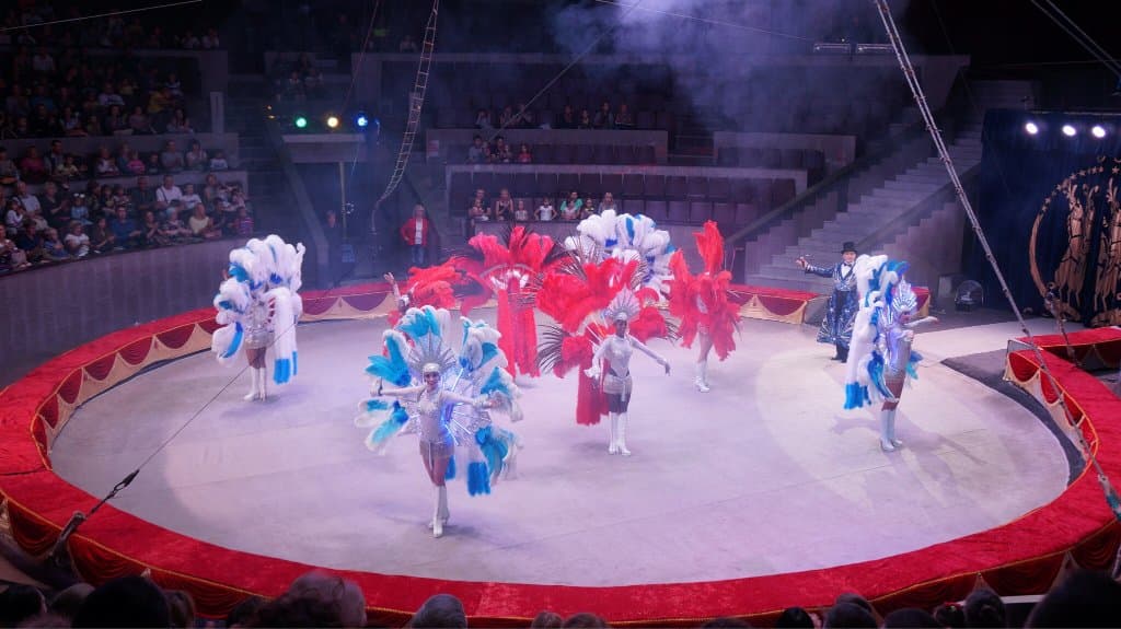 Novosibirsk State Circus