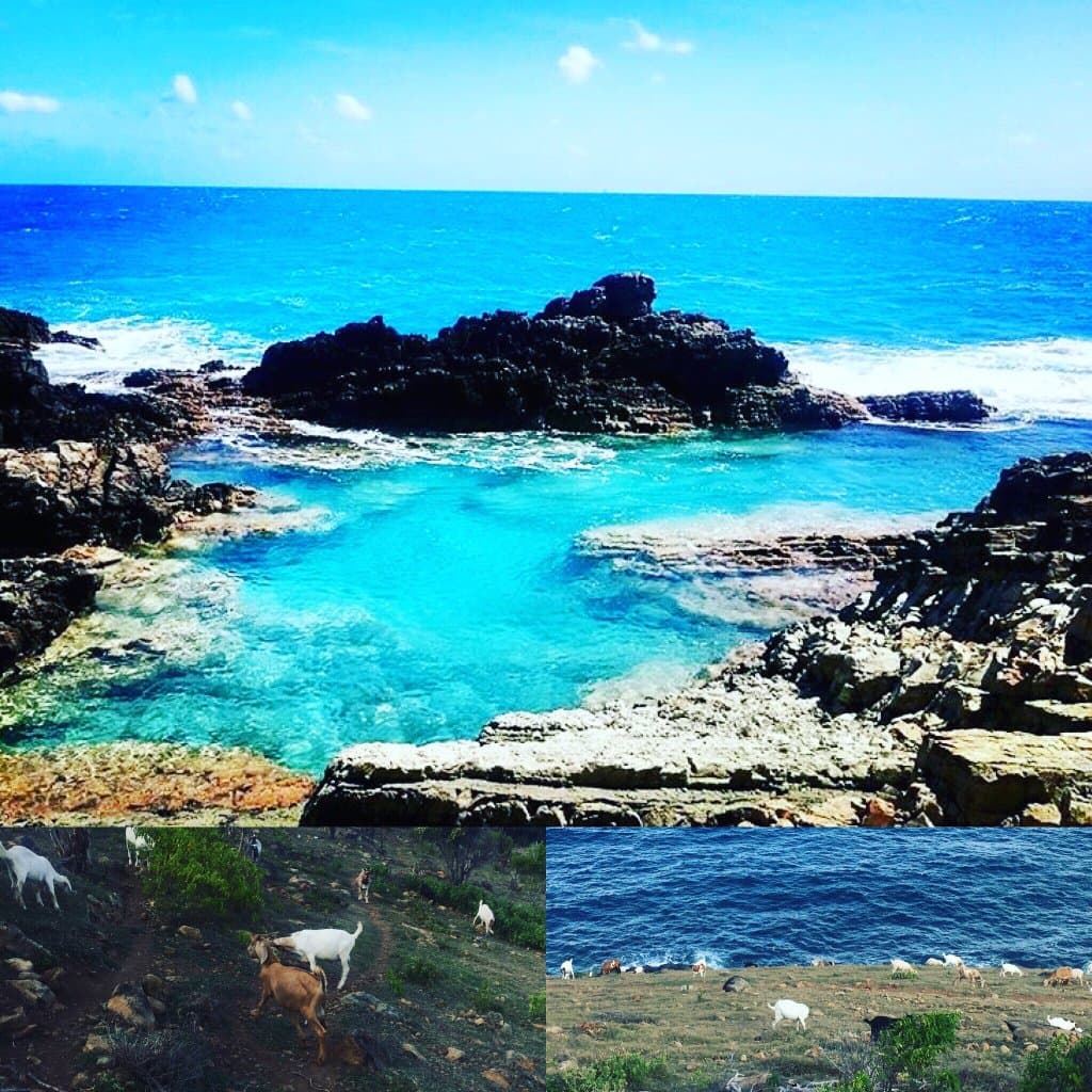 Guana Bay Beach