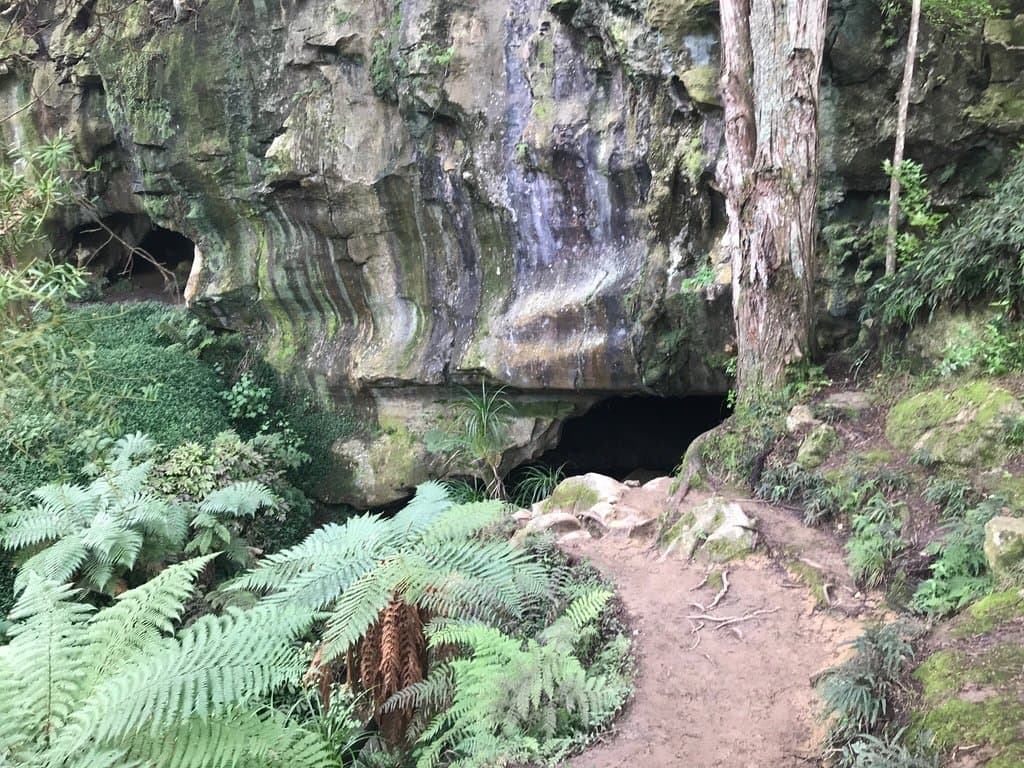 Waipu Caves New Zealand
