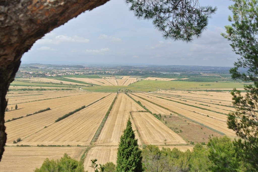 Etang de Montady