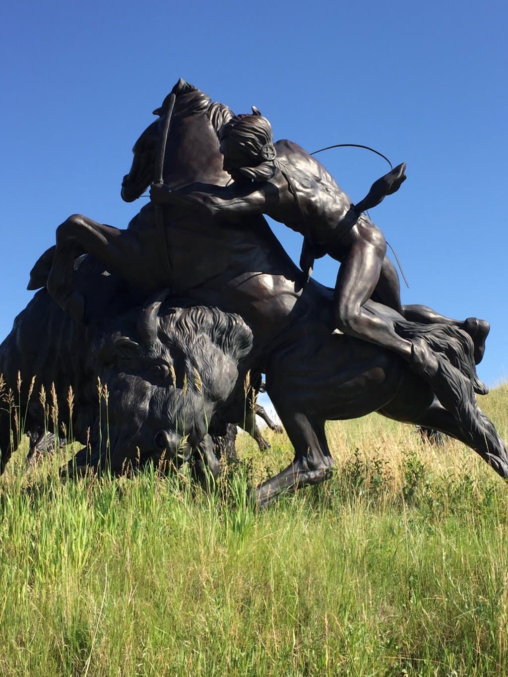 Tatanka: Story of the Bison