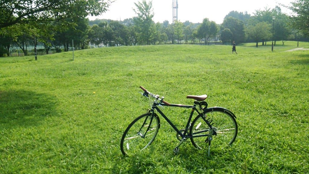 Johoku Central Park