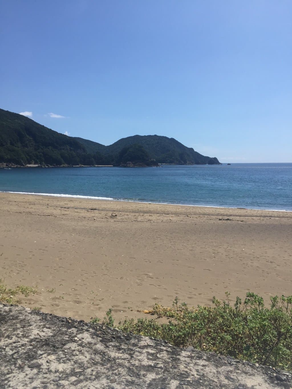 Hiwasa Sea Turtle Museum Caretta