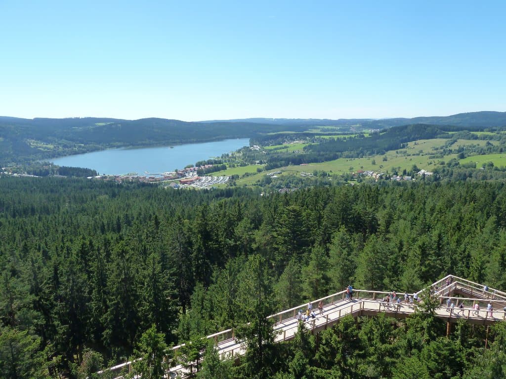 view from the top