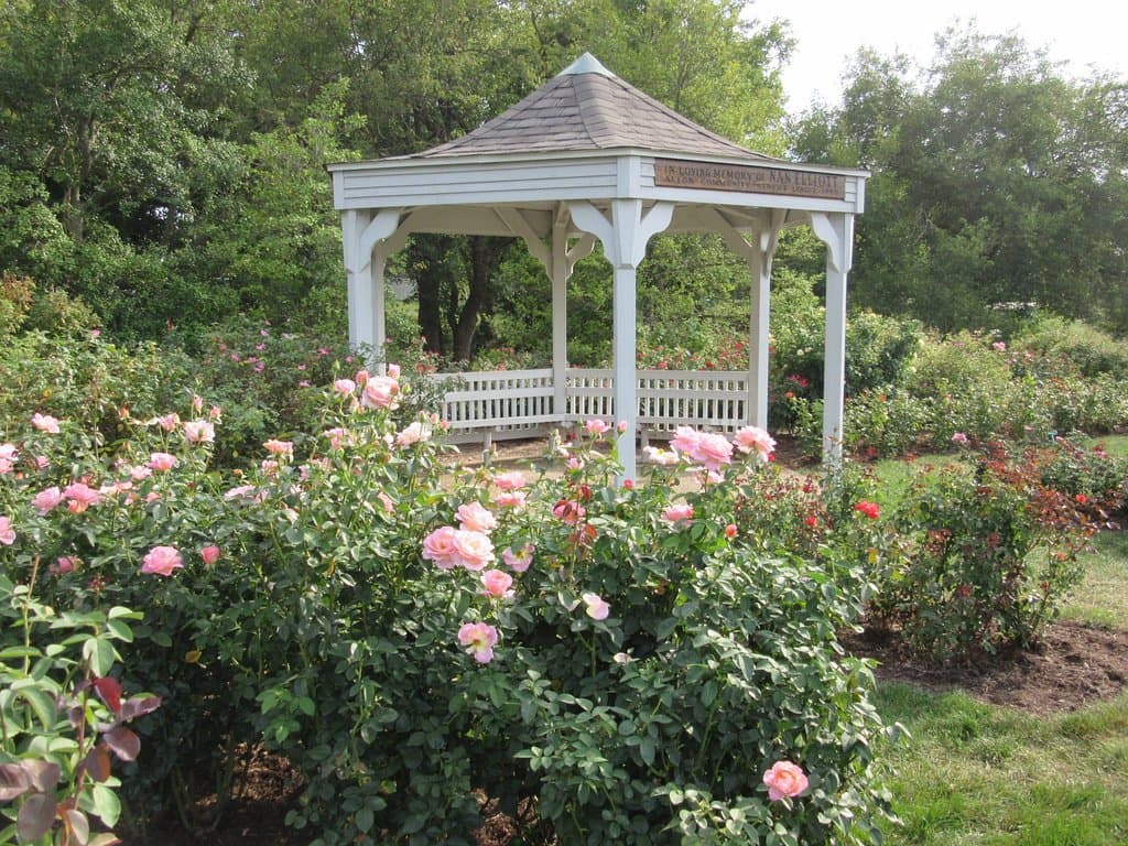 Moore Park Rose Garden Gazebo
