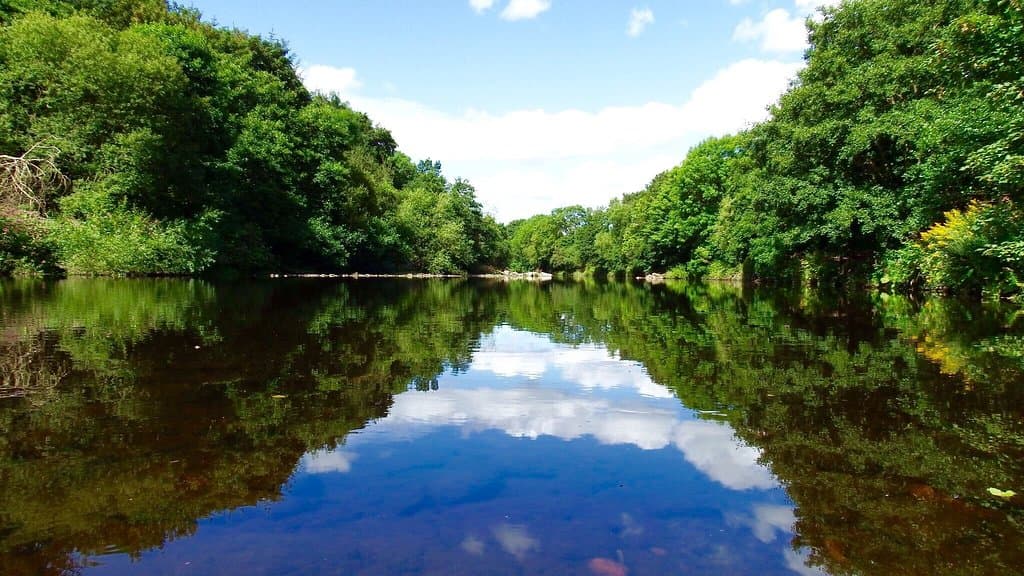 First visit on recommendation of a friend and wasn't disappointed! No king fisher for me today b