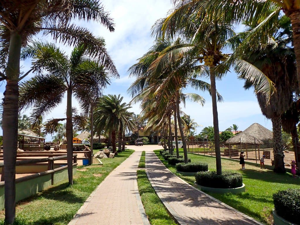 Philips Animal Garden