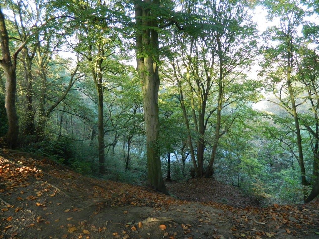 woodbank park