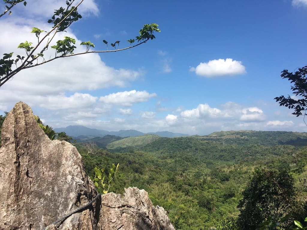 Amazing Masungi!