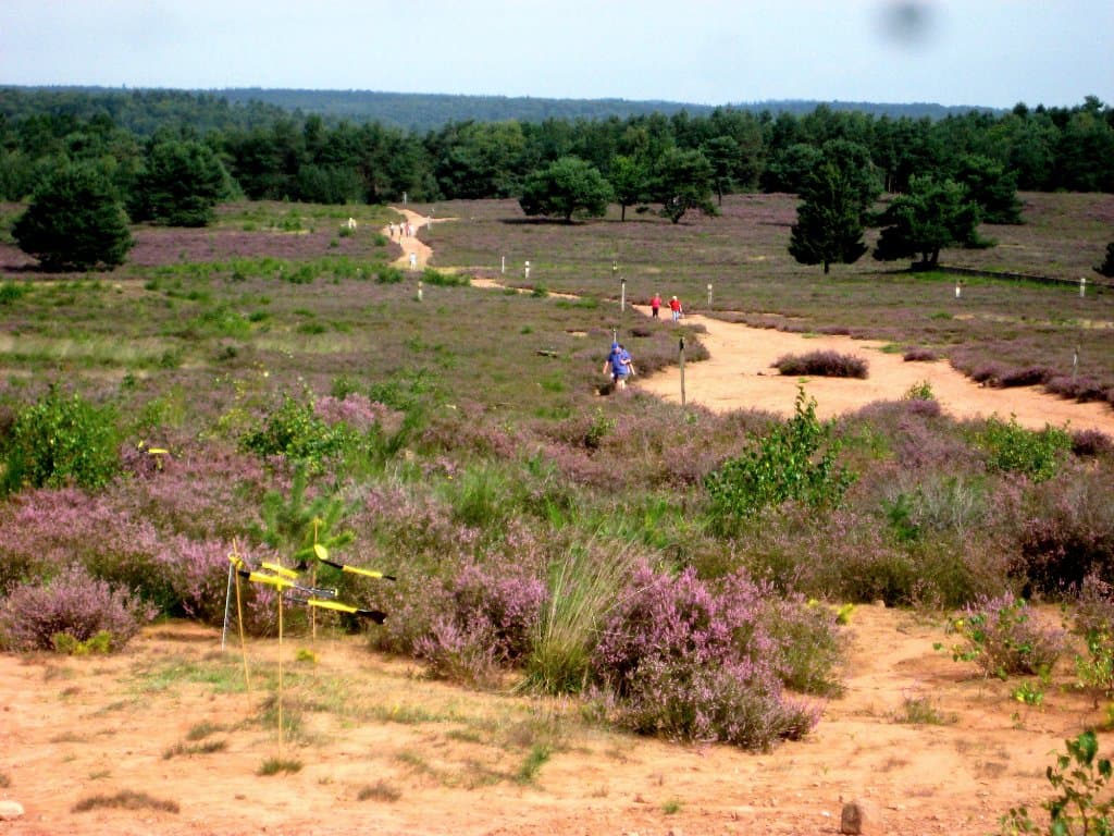 Mehlinger Heide