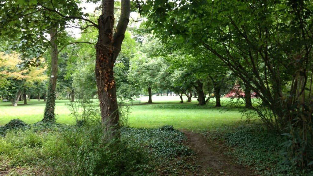 Bärenwiese Park