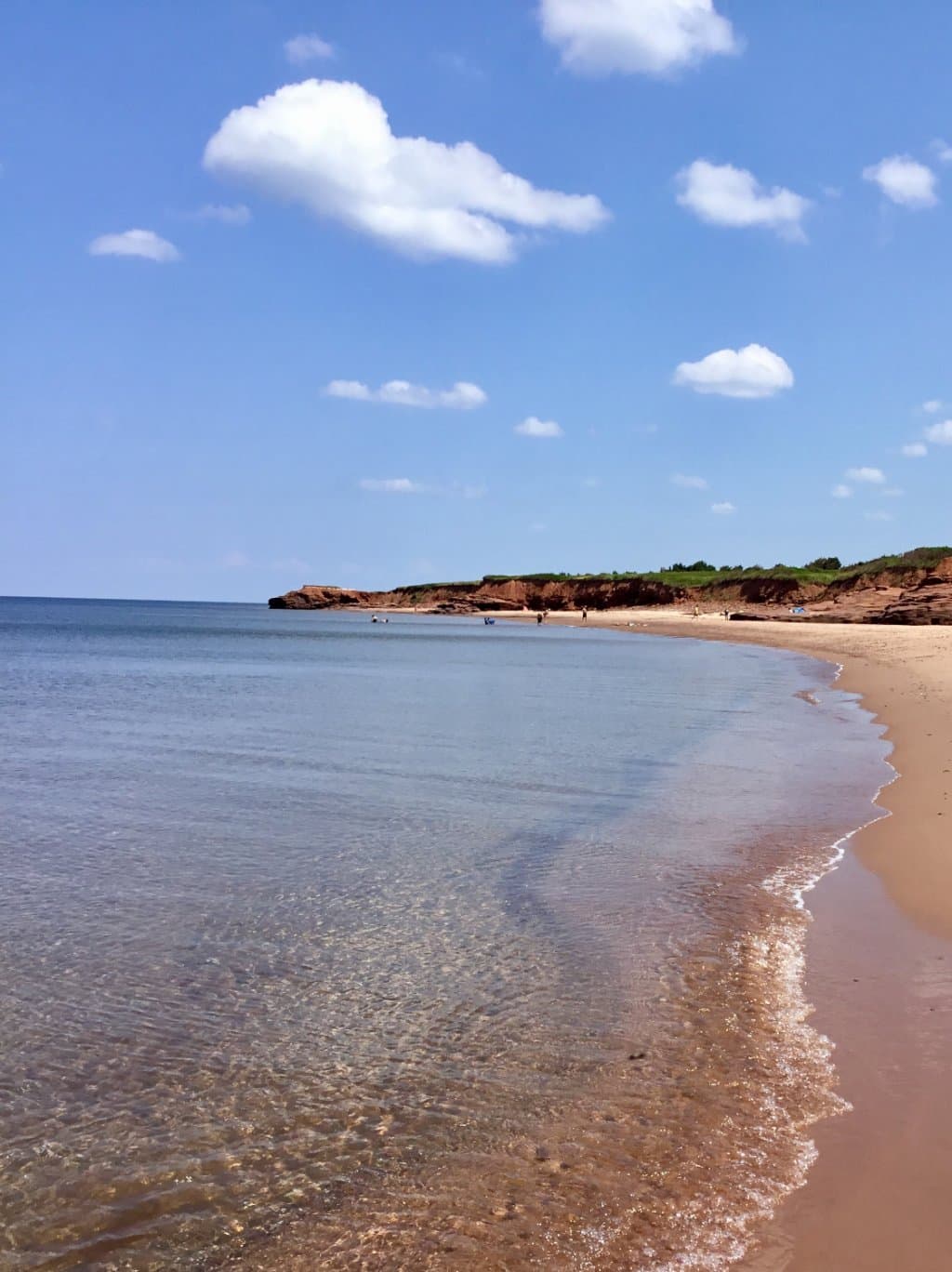 Gulfshore Parkway section