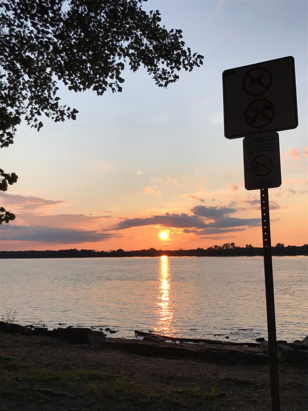 Petrie Island Beach