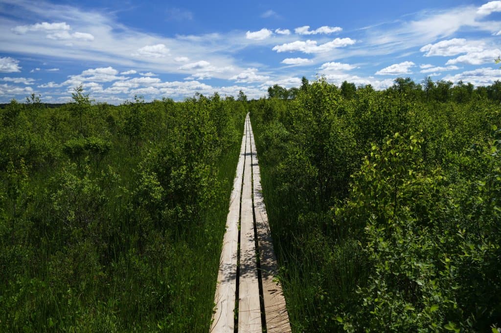 Prachtige wandelpaden