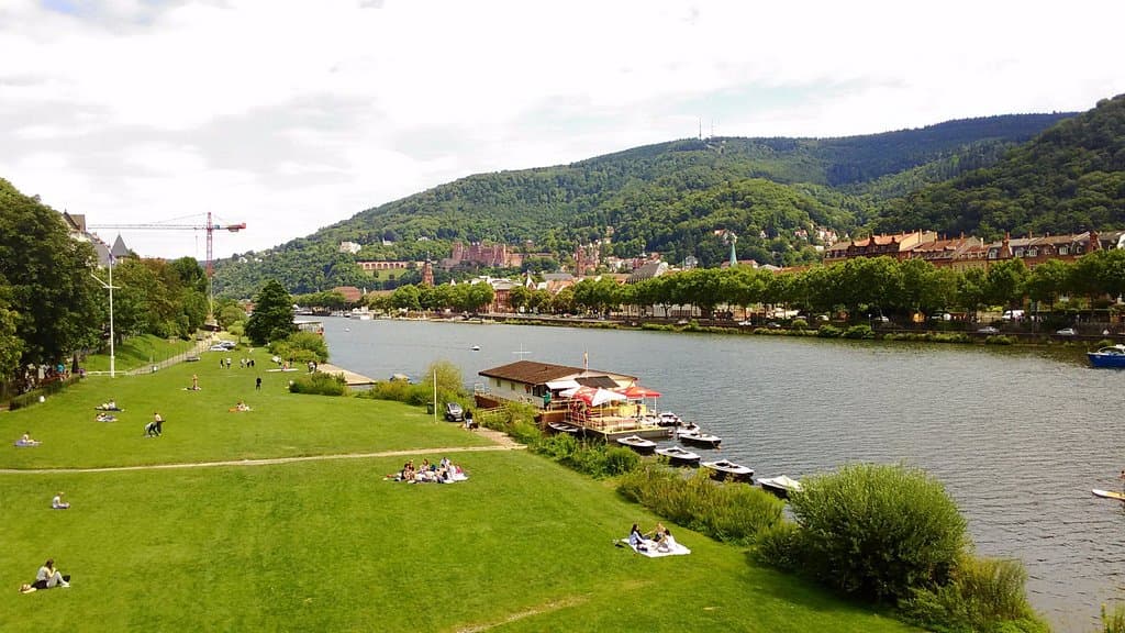 橋の上からみたNeckerwieseの様子です。