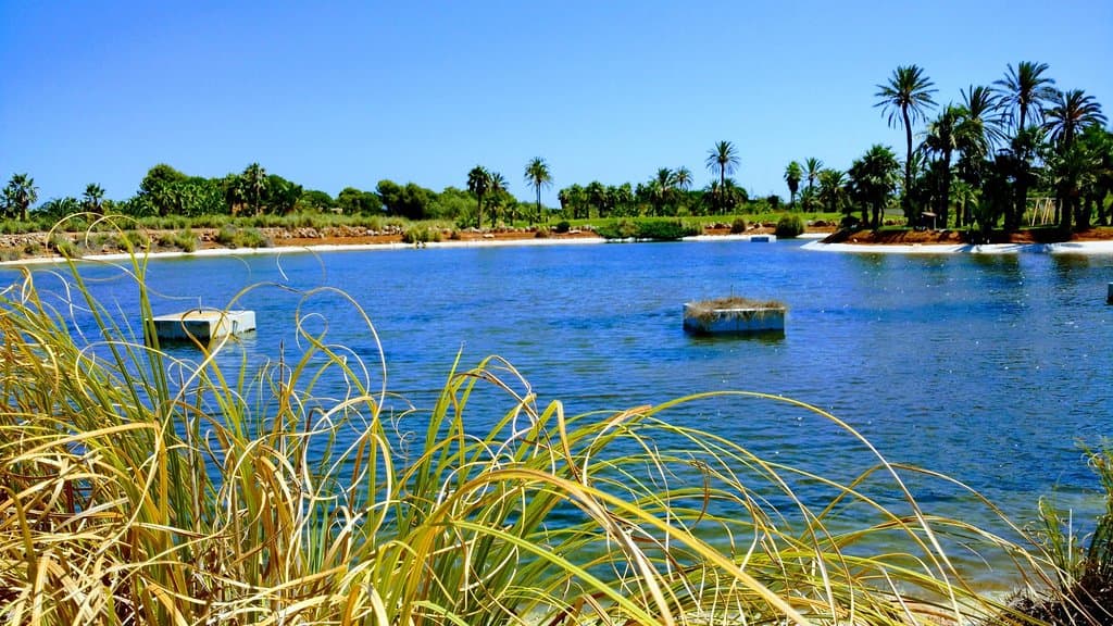 Lake