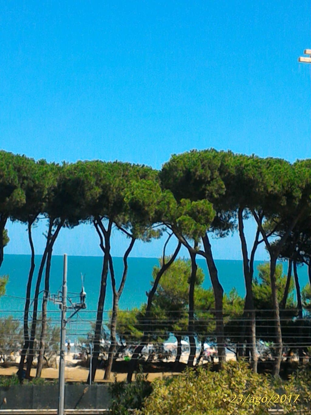 Pineta di Pineto