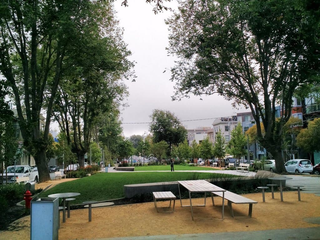 I use to picnic in this area of the park