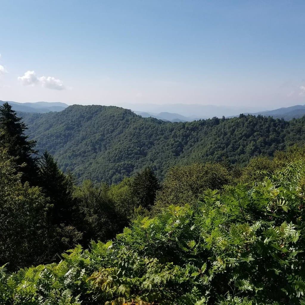 A few of the views from Newfound Gap
