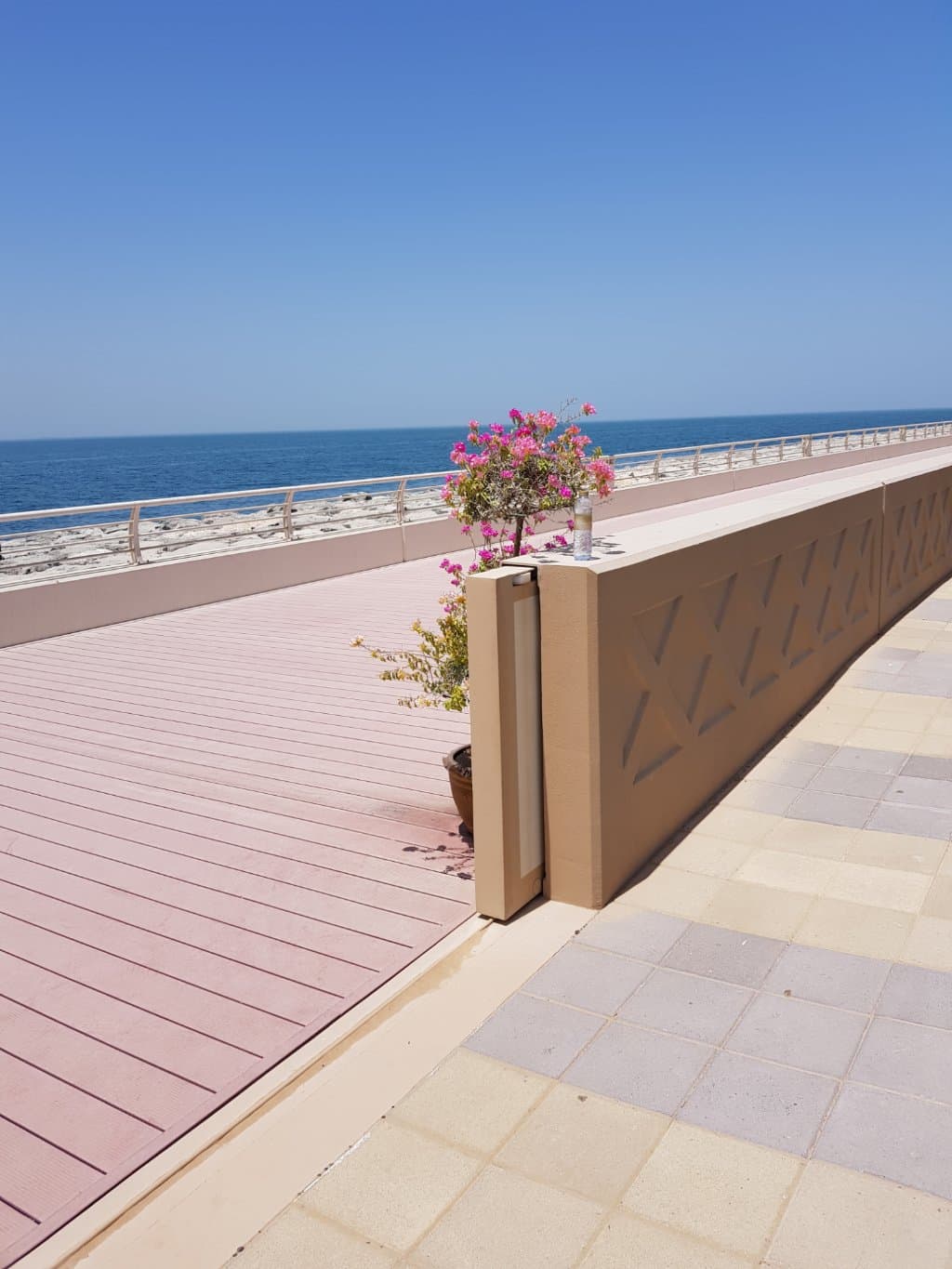 Enter the Boardwalk
