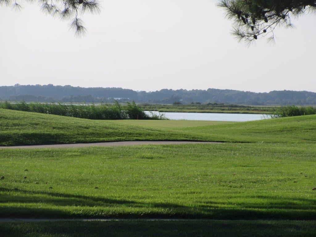 Partial view of the lake
