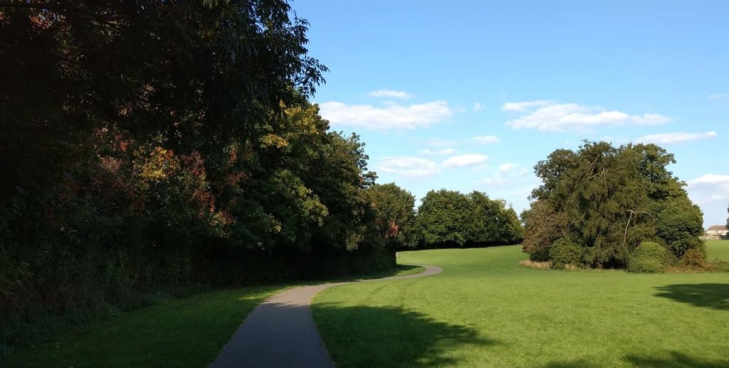 Good paths for wheelchair access