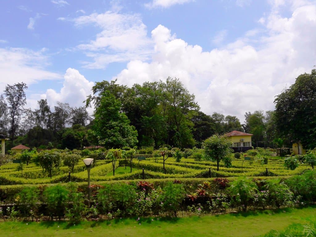 Well Manicured Garden View