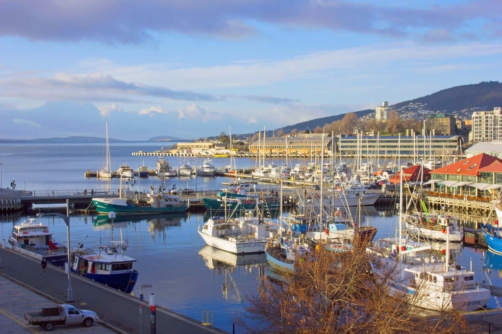 Early morning Constitution Dock
