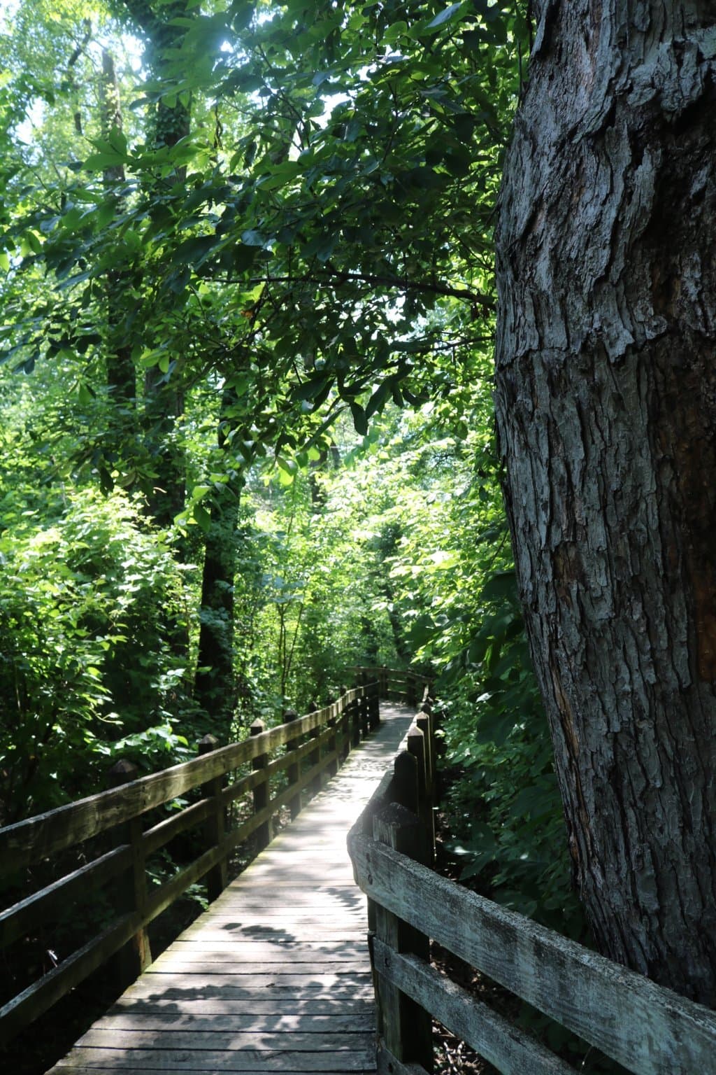 Pershing Field Park