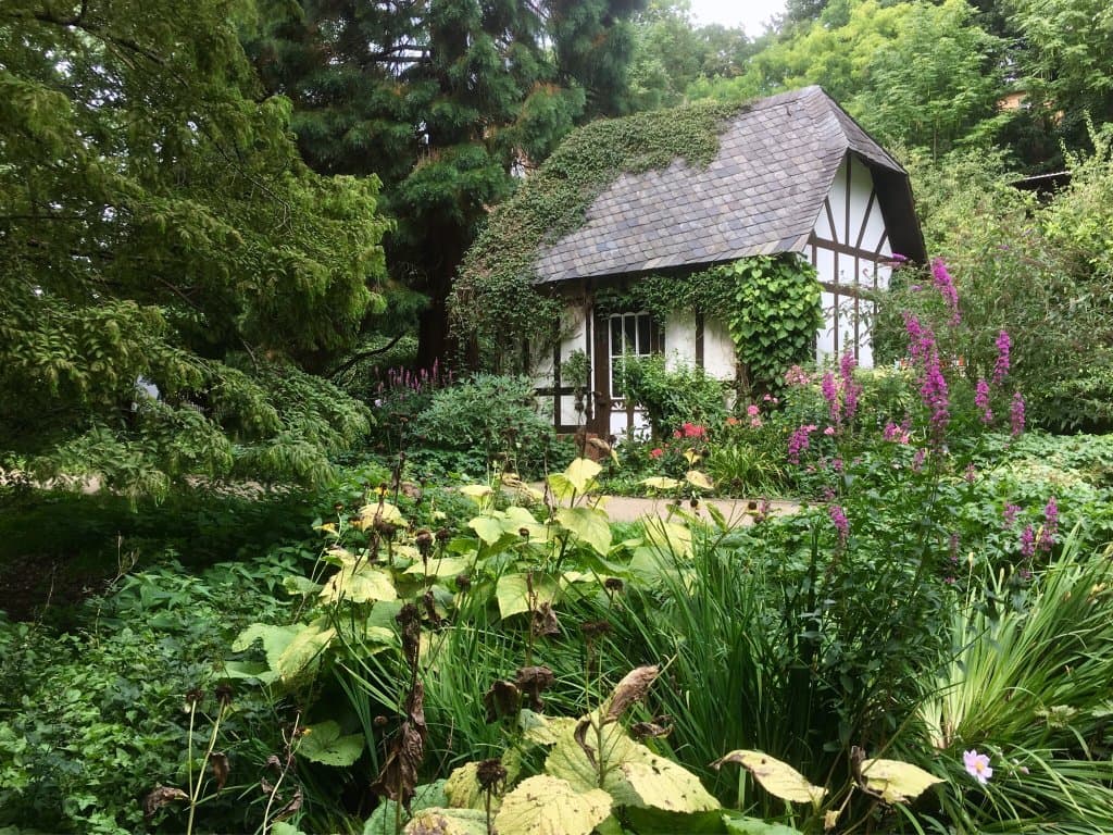 Alter Botanischer Garten