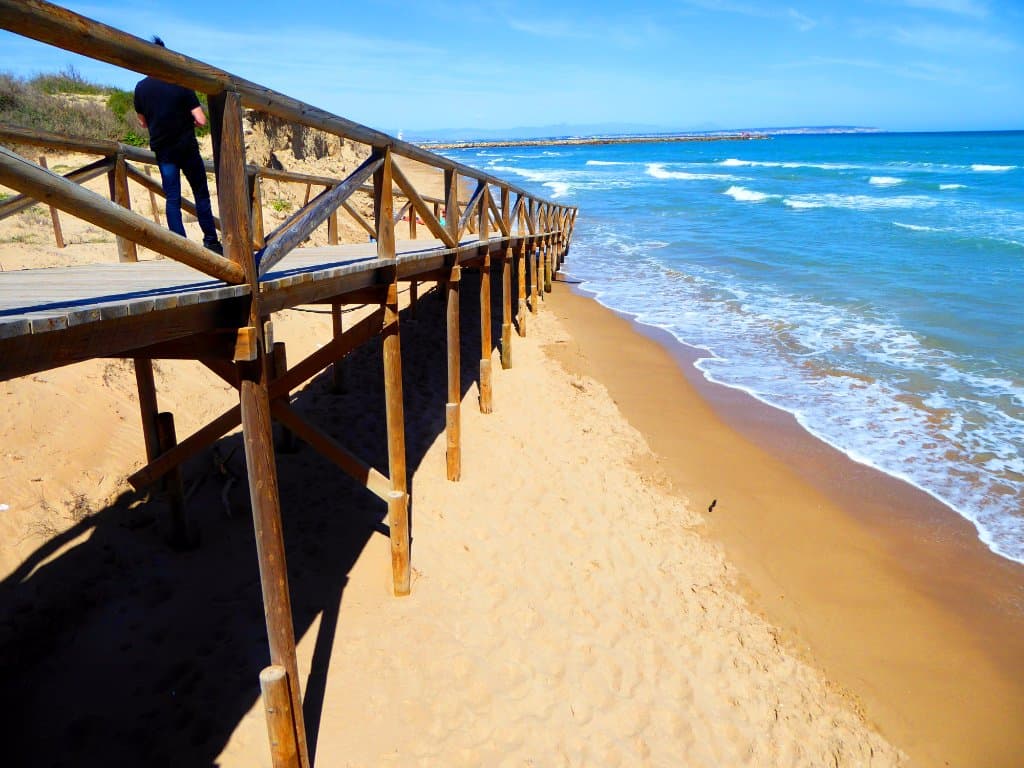 Parque Alfonso XIII. Dunas