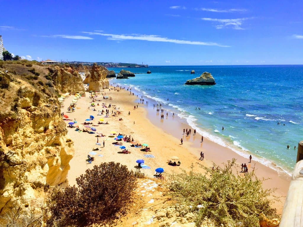 Beach View