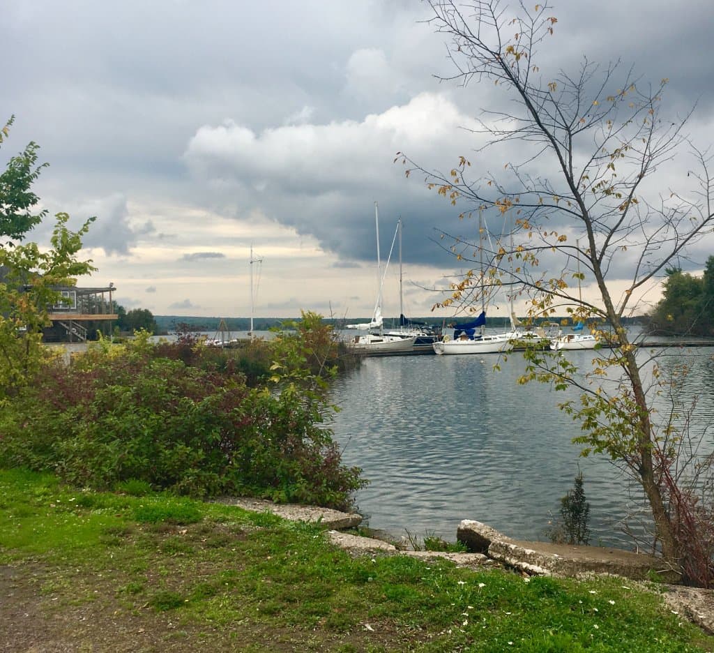 View from the parking area