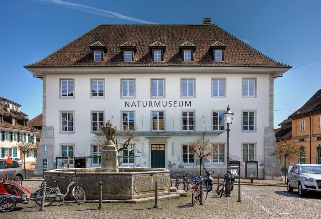 Das Naturmuseum auf dem Klosterplatz. 