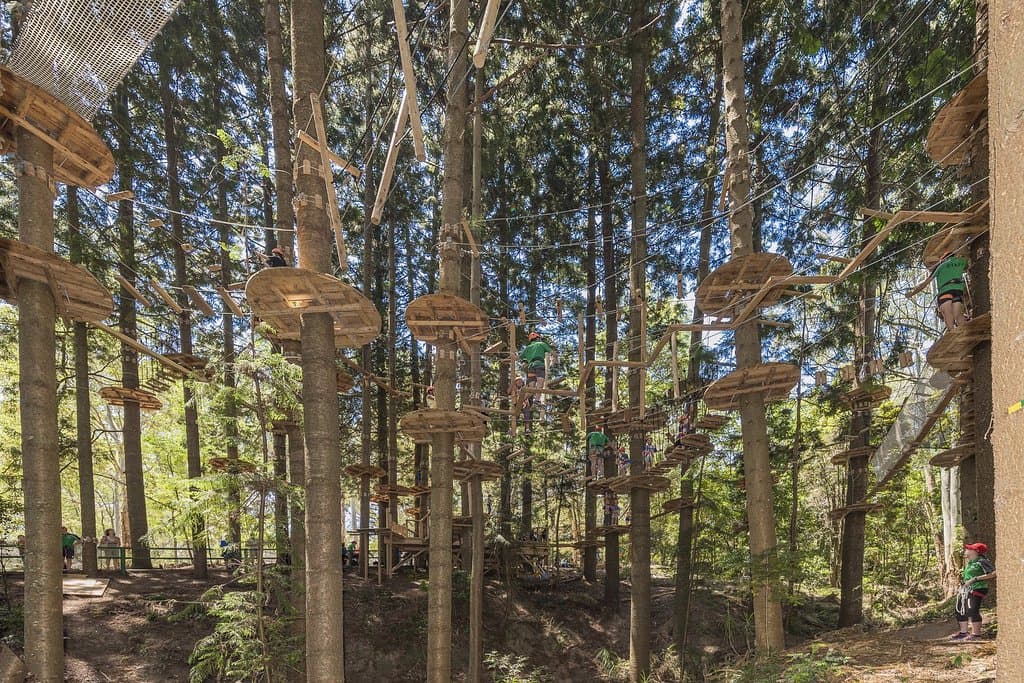 TreeTops Sydney The Hills children's course average height of challenges is 10 metres